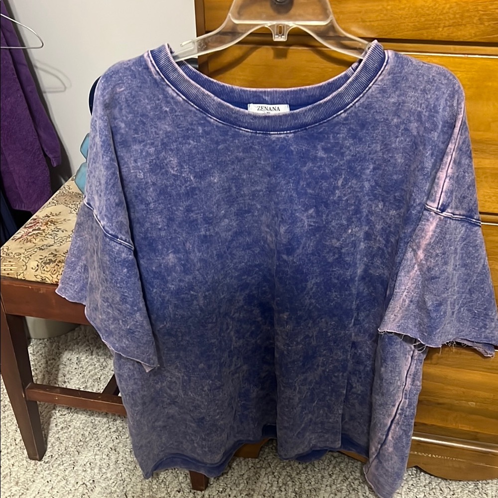 Zara Blue and Pink Women's Top